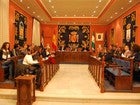 El plan que plantea el gobierno municipal necesita el apoyo del Pleno municipal