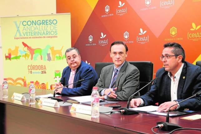 El rector, ayer, junto a los responsables del X Congreso Andaluz de Veterinarios