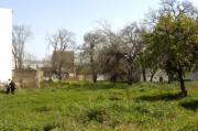 Vista de la Huerta del Rey Moro desde la zona de la calle Enladrillada, con las acacias y la higuera que aún conserva. MILLÁN HERCE