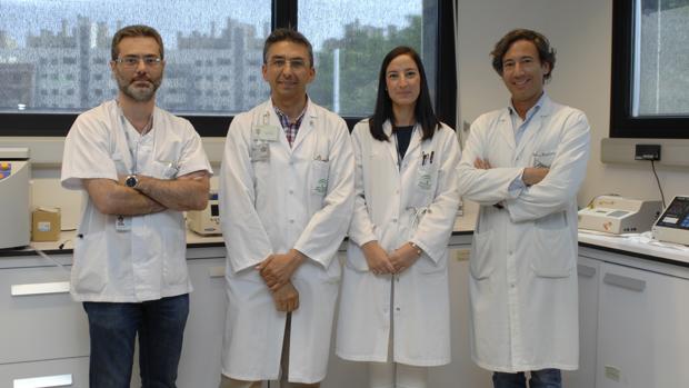 Los participantes en la investigación
