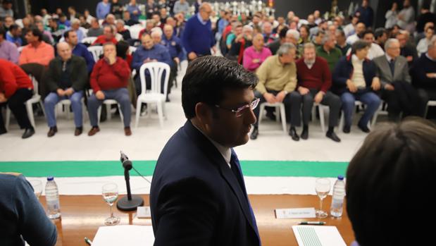 El presidente del Córdoba CF, Jesús León, el miércoles en el Consejo Consultivo