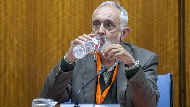 Fernando Villen Rueda, exdirector general de la Faffe, en el Parlamento andaluz en 2016