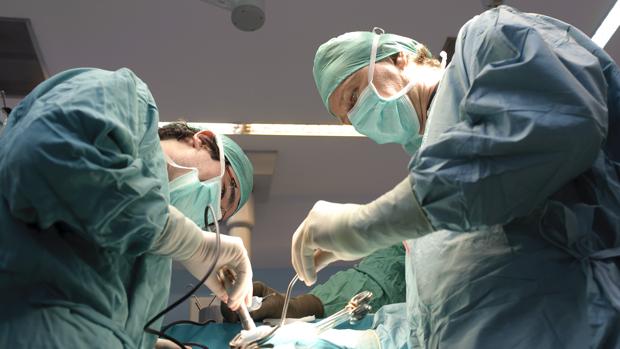 El Servicio Andaluz de Salud oferta 3.336 plazas para médicos en estas oposiciones