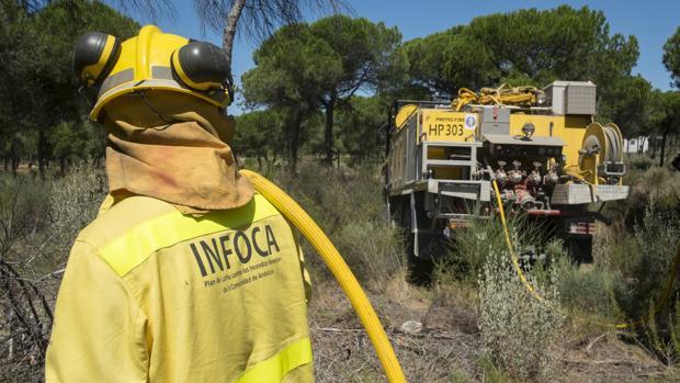 Un agente del Infoca trabajando sobre el terreno