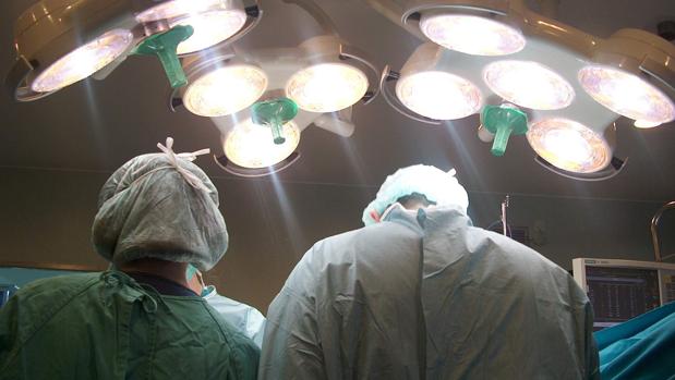 Facultativos durante un transplante