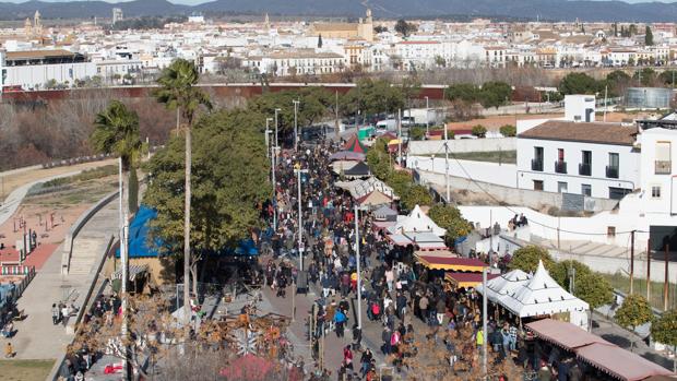 El Mercado Medieval celebrado el año pasado en el entorno de la Calahorra