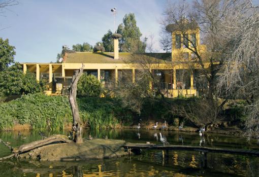 Edificio en la Cañada de los Pájaros, un humedal estratégico del Espacio Natural de Doñana