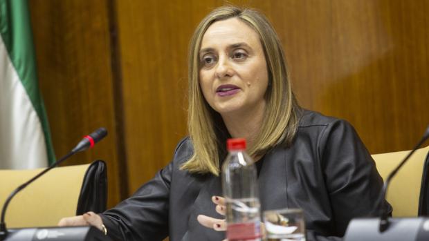La consejera de Fomento Marifrán Carazo