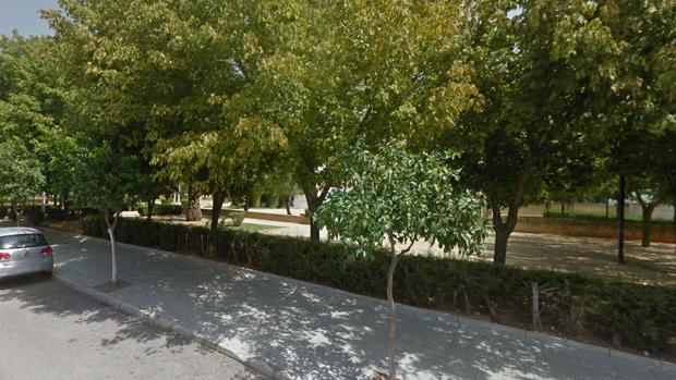 Parque onubense en la localidad de Palma del Condado