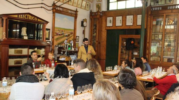 Una de las visitas a la bodega Toro Albalá