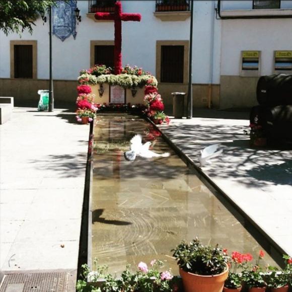Una de las fotos que participan en el concurso
