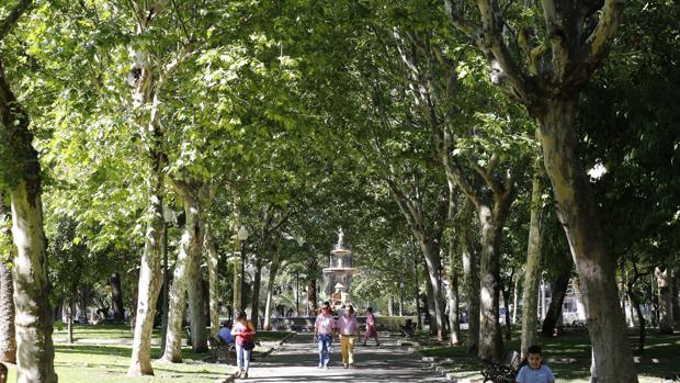 Jardines de Colón, una de las principales arboledas de Córdoba