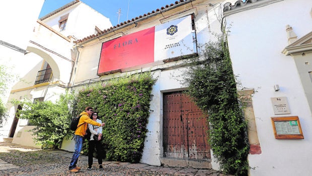 Futuro hotel en la calleja de Las Flores