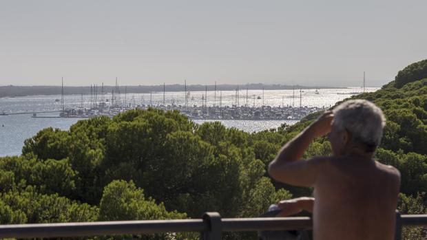 Vista de Nueva Umbría desde uno de los miradores entre El Portil y El Rompido