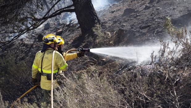 Efectivos del Infoca trabajan en la extinción de un incendio forestal declarado esta mañana en el paraje del Túnel de la Gorgoracha