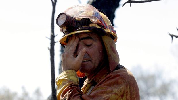 Bombero trabaja en las tareas de extinción