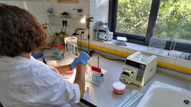 Uno de los puestos ofertados es de técnico de laboratorio