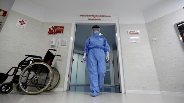 Coronavirus Córdoba: Salud notifica cinco muertes más y 255 nuevos  contagios por Covid-19 en Córdoba
