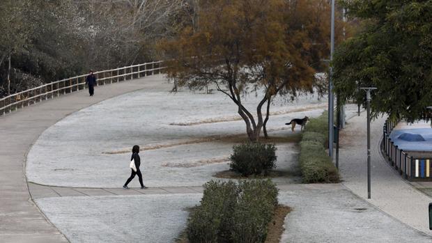 El Tiempo En Cordoba Tercer Dia Consecutivo Con Temperaturas Bajo Cero En Cordoba Y Helada Por La Manana