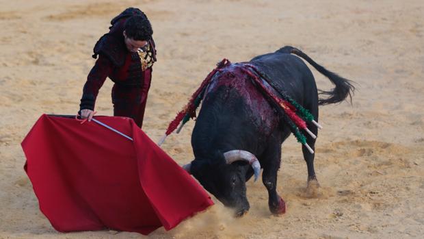 Oliva Soto, durante la corrida-homenaje