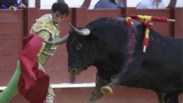 Luis Vilches
