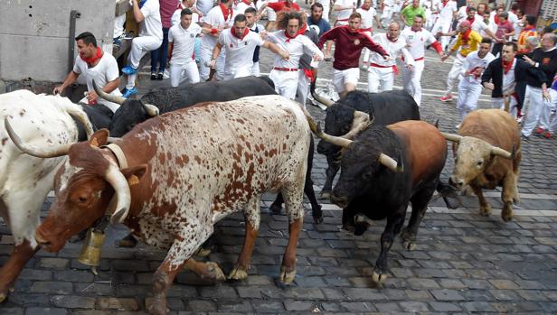 Los toros de Fuente Ymbro en la curva de Mercaderes