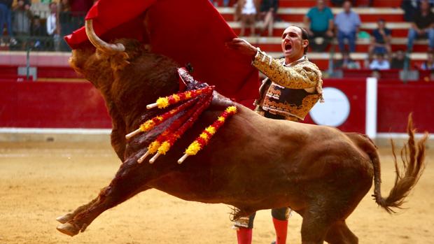 Alberto Álvarez, en un pase de pecho