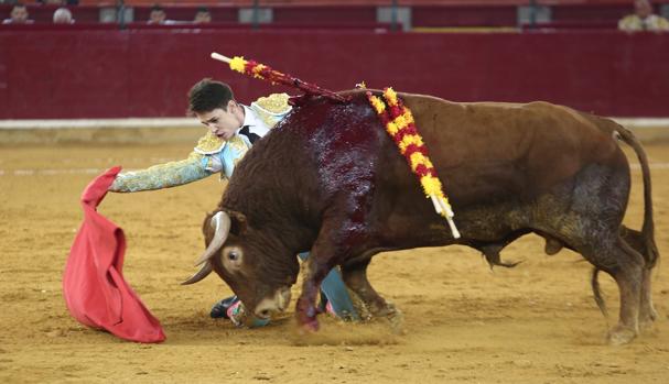 Pablo Mora torea de rodillas