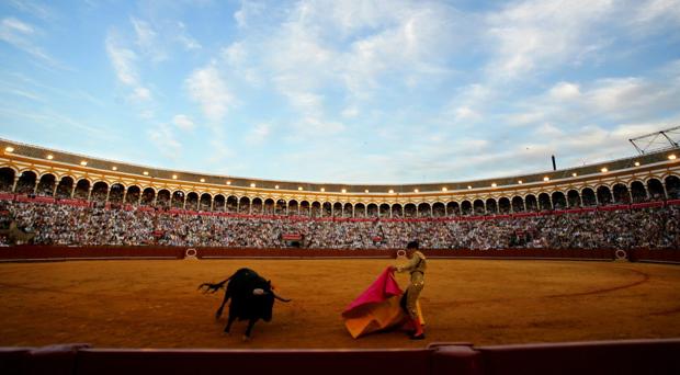 Toros en la Maestranza