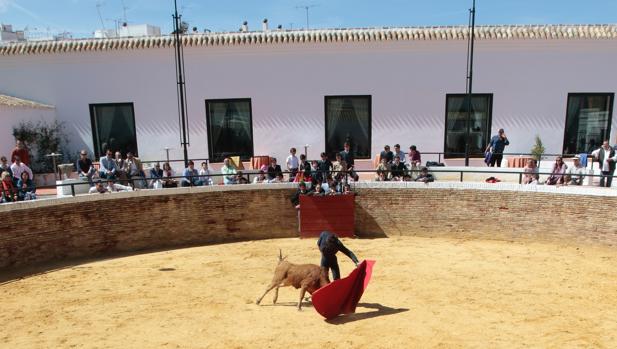 La plaza de toros en uno de los tentaderos de la escuela