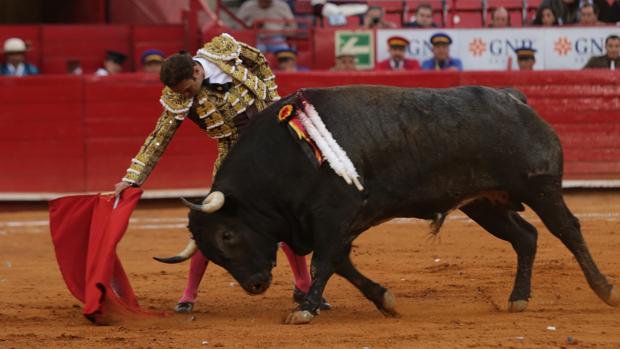 Antonio Ferrera, con el toro «Luna Llena»
