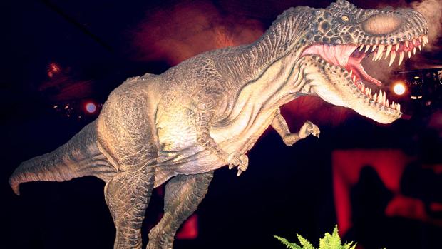 El Tiranousaurio Rex es la joya de la corona de la exposición