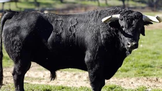 Sexto toro