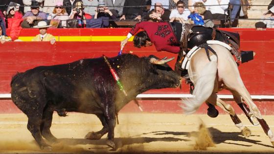 Ventura, al violín con las cortas en el primer toro