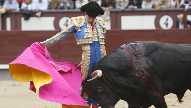 José Tomás,