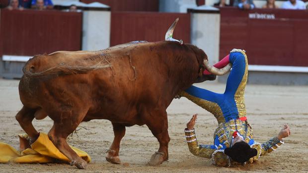El diestro Ritter sufre una cornada a la altura del gemelo