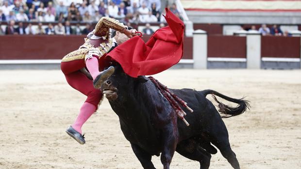 Momento de la cornada de Pablo Aguado en Madrid