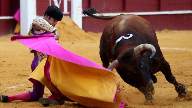 Cayetano, con las dos rodillas en tierra
