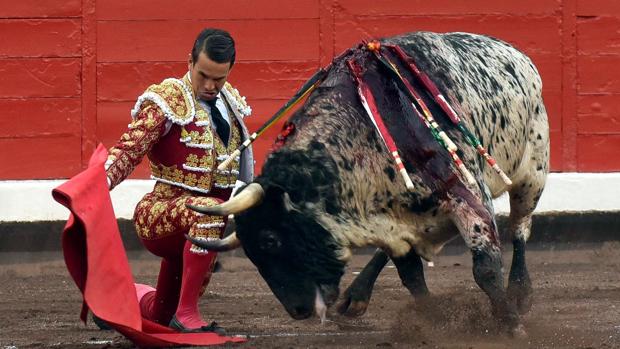 Manzanares, rodilla en tierra con el bravo «Ruiseñor»