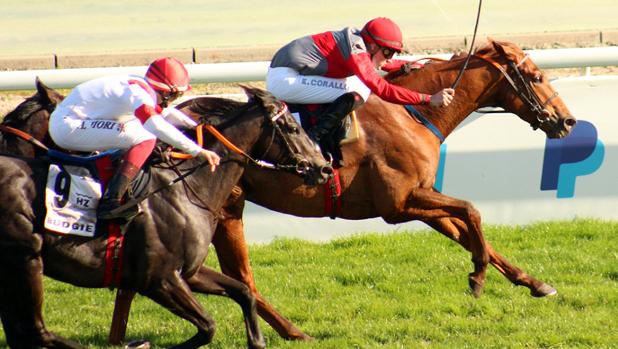 «Another Day of Sun», ganador del Gran Premio Antonio Blasco