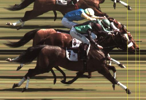 HIPÓDROMO DE LA ZARZUELA