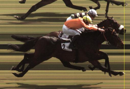 Hipódromo de la Zarzuela