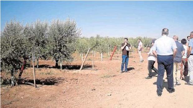 Encuentro en la finca de Carmona de todos los socios del proyecto Life Resilience
