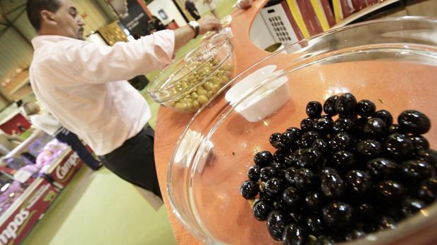 como procesar las aceitunas negras como procesar las aceitunas negras