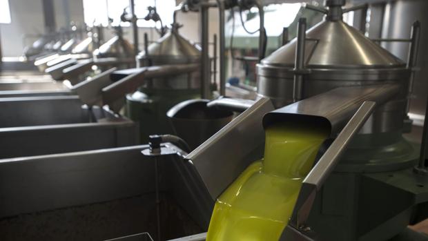 La producción de aciete de oliva se acelera en enero