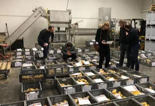 Lihlahisoa tsa Intersur y comercializa en España le Francia ho tloha 100.000 toneladas de patatas nuevas