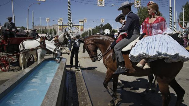 Un caballista lleva a su caballo a beber agua durante la Feria de Abril