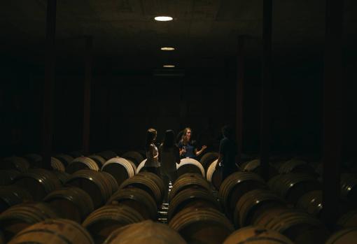 El enoturismo es clave para ir dando a conocer los vinos rondeños y el trabajo de Cortijo Los Aguilares.