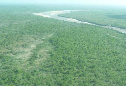 Reserva de caza de Selous (Tanzania)