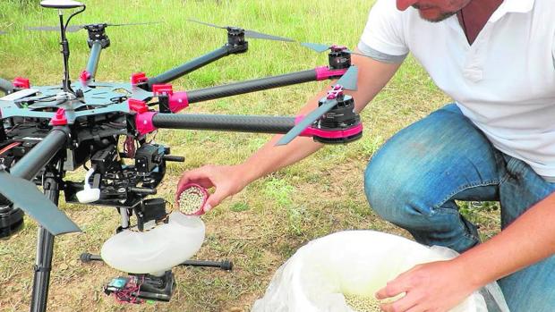 Big Data, semillas inteligentes y drones para combatir la deforestación
